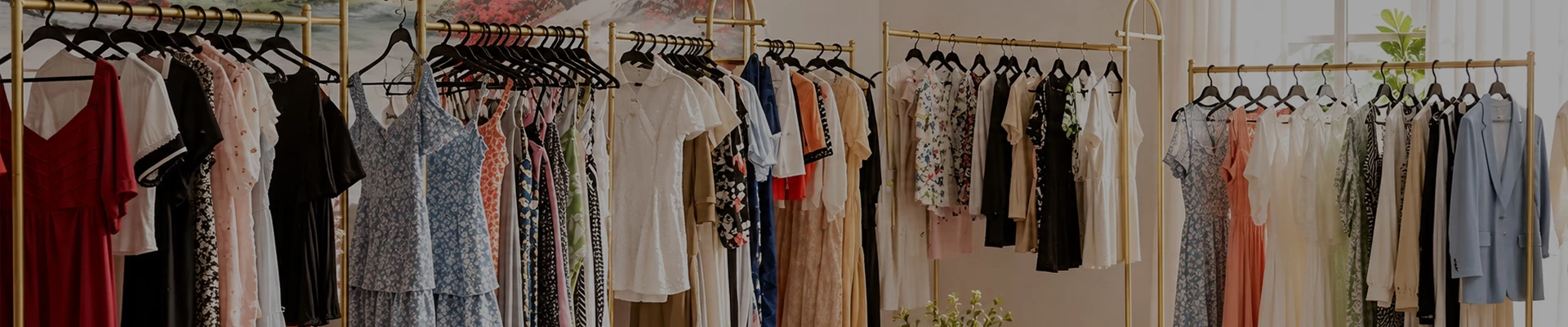 collection-banner-image
